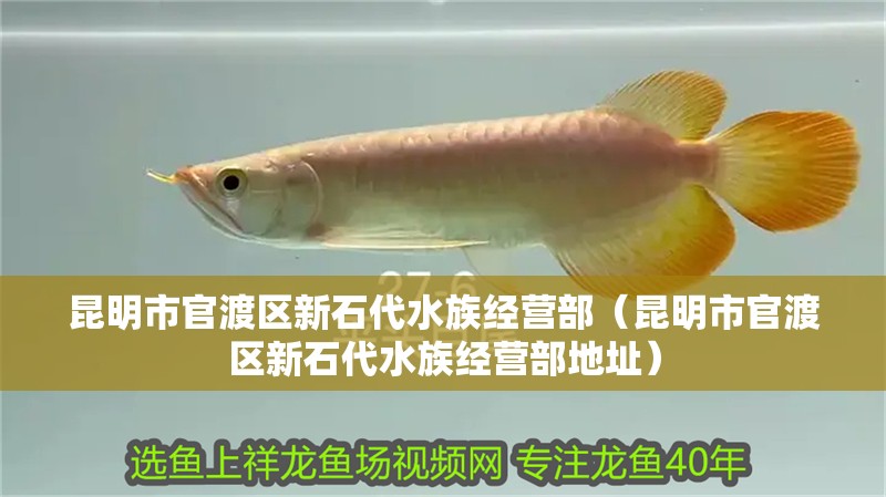 昆明市官渡區(qū)新石代水族經(jīng)營(yíng)部（昆明市官渡區(qū)新石代水族經(jīng)營(yíng)部地址）