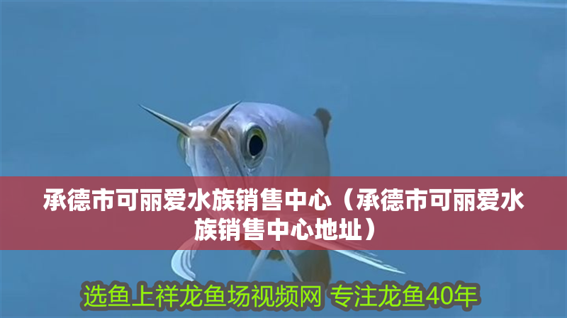 承德市可麗愛水族銷售中心（承德市可麗愛水族銷售中心地址）