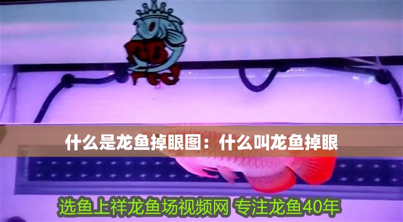 什么是龍魚掉眼圖：什么叫龍魚掉眼
