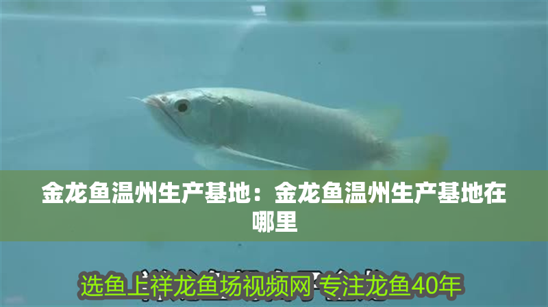 金龍魚溫州生產(chǎn)基地：金龍魚溫州生產(chǎn)基地在哪里