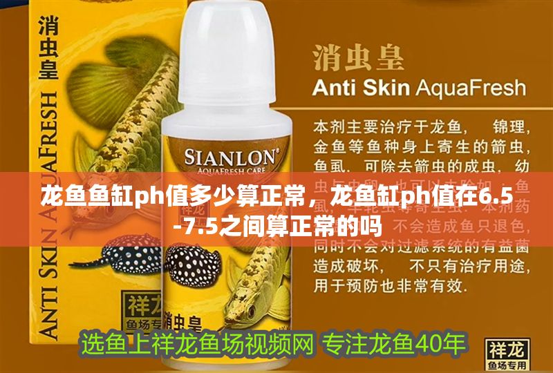 龍魚魚缸ph值多少算正常，龍魚缸ph值在6.5-7.5之間算正常的嗎