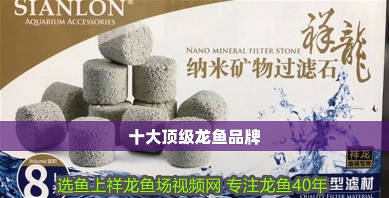 十大頂級龍魚品牌