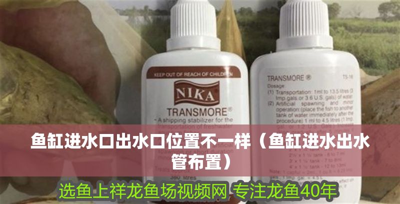 魚缸進水口出水口位置不一樣（魚缸進水出水管布置）