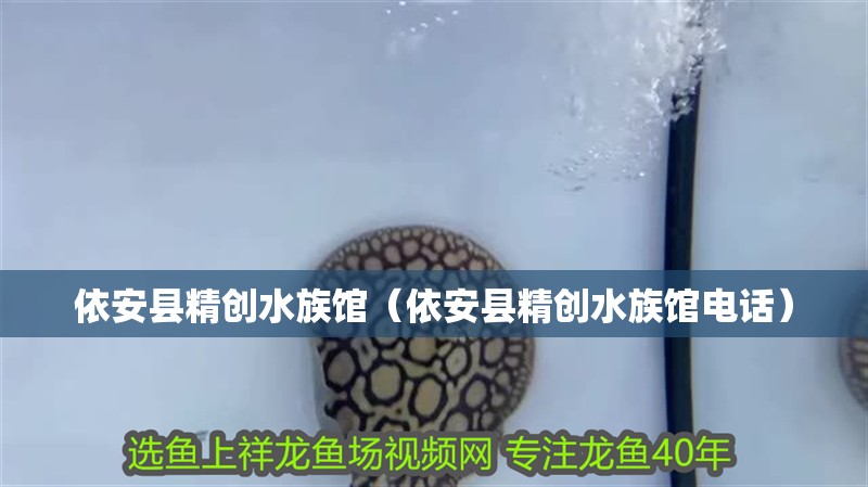 依安縣精創水族館（依安縣精創水族館電話）