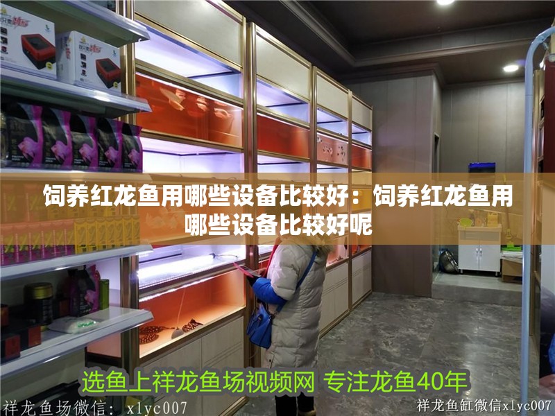 飼養(yǎng)紅龍魚用哪些設(shè)備比較好：飼養(yǎng)紅龍魚用哪些設(shè)備比較好呢