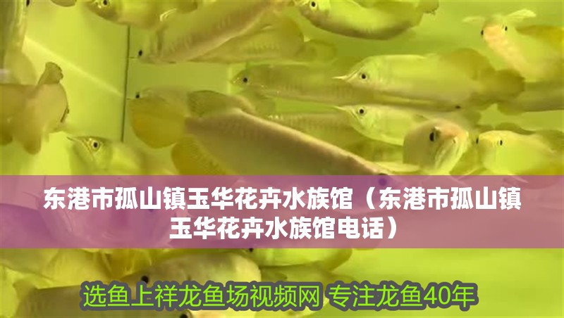 東港市孤山鎮玉華花卉水族館（東港市孤山鎮玉華花卉水族館電話） 東港市孤山鎮玉華花卉水族館（東港市孤山鎮玉華花卉水族館電話） 全國水族館企業名錄 第1張