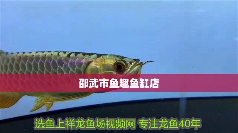 邵武市魚趣魚缸店