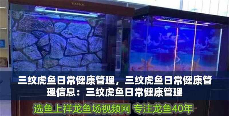 三紋虎魚日常健康管理，三紋虎魚日常健康管理信息：三紋虎魚日常健康管理