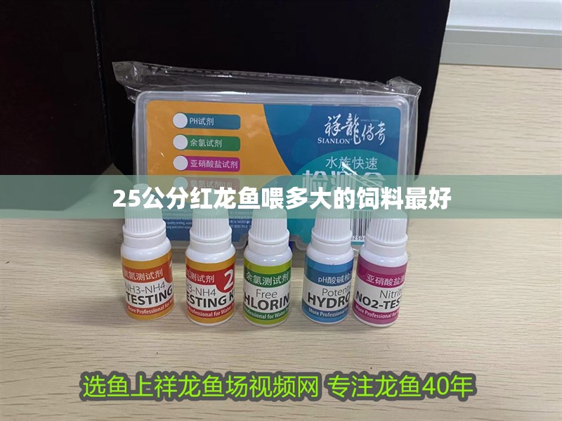 25公分紅龍魚喂多大的飼料最好