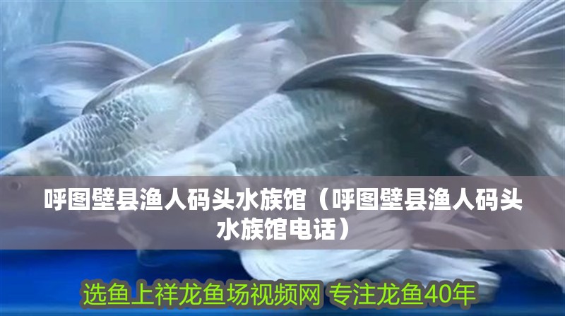 呼圖壁縣漁人碼頭水族館（呼圖壁縣漁人碼頭水族館電話）