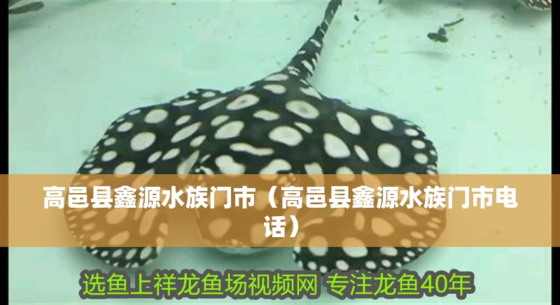高邑縣鑫源水族門市（高邑縣鑫源水族門市電話）