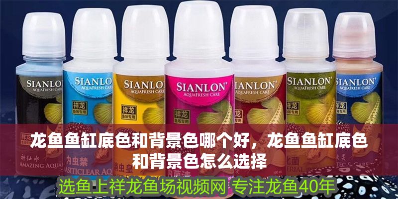 龍魚(yú)魚(yú)缸底色和背景色哪個(gè)好，龍魚(yú)魚(yú)缸底色和背景色怎么選擇