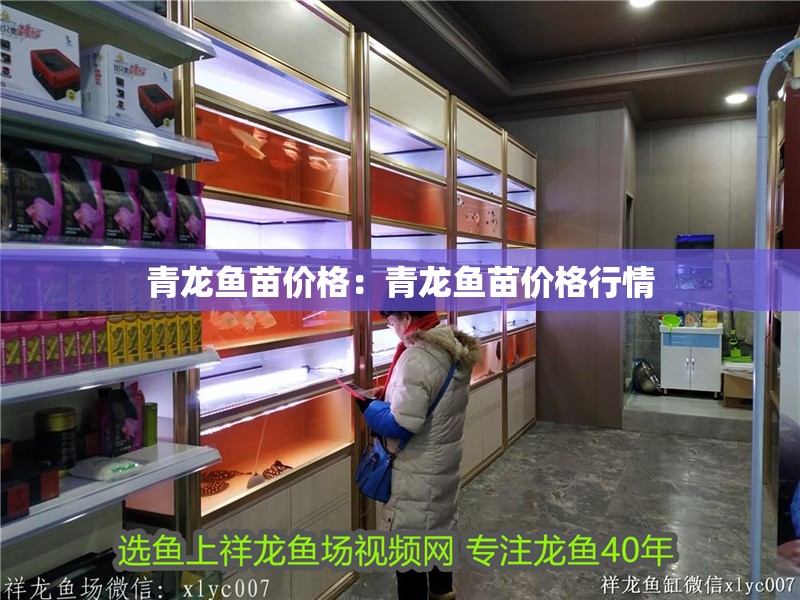 青龍魚苗價(jià)格：青龍魚苗價(jià)格行情