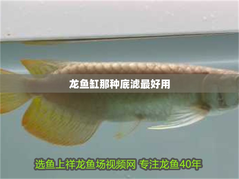 龍魚缸那種底濾最好用