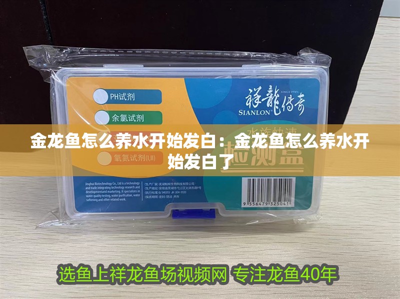 金龍魚怎么養水開始發白：金龍魚怎么養水開始發白了 金龍魚怎么養水開始發白：金龍魚怎么養水開始發白了 水族問答