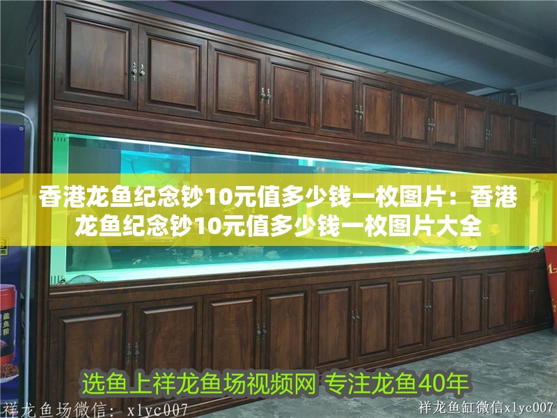 香港龍魚紀念鈔10元值多少錢一枚圖片：香港龍魚紀念鈔10元值多少錢一枚圖片大全