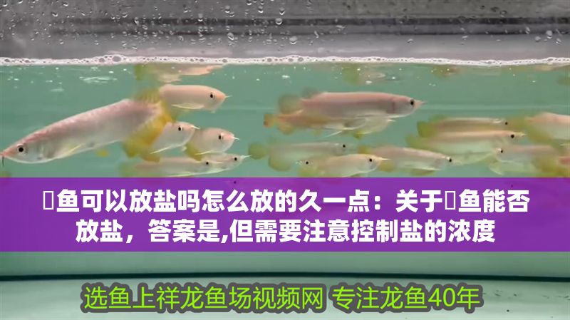 魟魚可以放鹽嗎怎么放的久一點：關于魟魚能否放鹽，答案是,但需要注意控制鹽的濃度