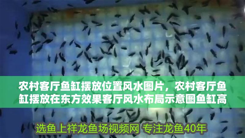 農村客廳魚缸擺放位置風水圖片，農村客廳魚缸擺放在東方效果客廳風水布局示意圖魚缸高度風水講究