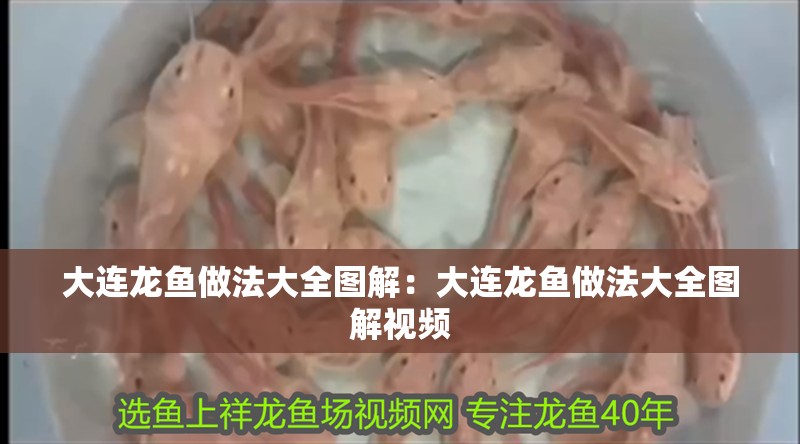 大連龍魚做法大全圖解：大連龍魚做法大全圖解視頻