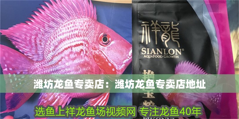 濰坊龍魚專賣店：濰坊龍魚專賣店地址