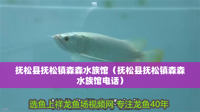 撫松縣撫松鎮(zhèn)森森水族館（撫松縣撫松鎮(zhèn)森森水族館電話）