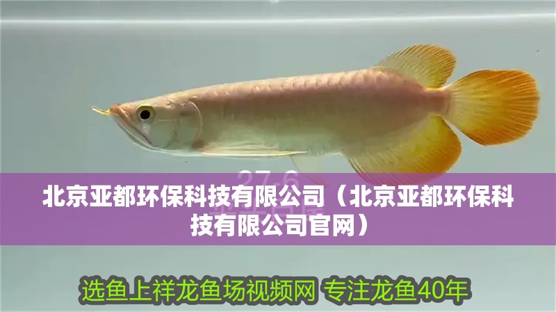 北京亞都環(huán)保科技有限公司（北京亞都環(huán)保科技有限公司官網(wǎng)）