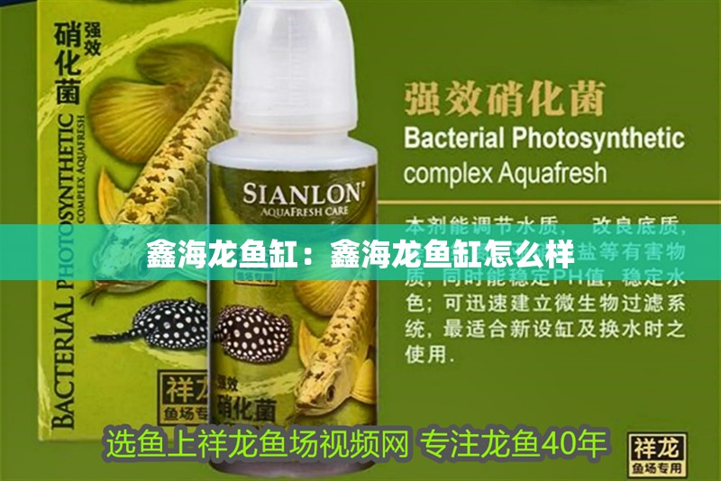 鑫海龍魚缸：鑫海龍魚缸怎么樣