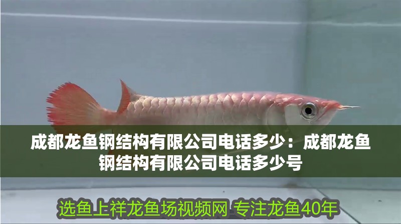 成都龍魚鋼結構有限公司電話多少：成都龍魚鋼結構有限公司電話多少號