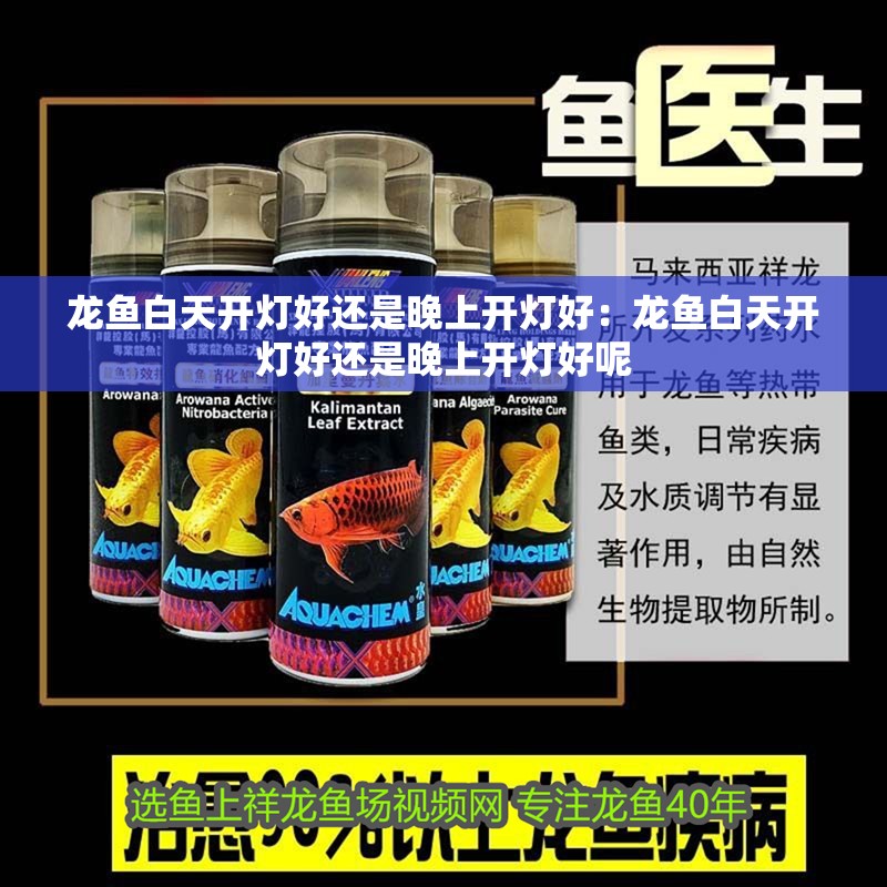 龍魚白天開燈好還是晚上開燈好：龍魚白天開燈好還是晚上開燈好呢