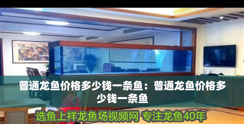 普通龍魚價(jià)格多少錢一條魚：普通龍魚價(jià)格多少錢一條魚