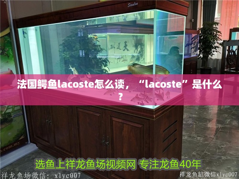 法國鱷魚lacoste怎么讀，“lacoste”是什么？