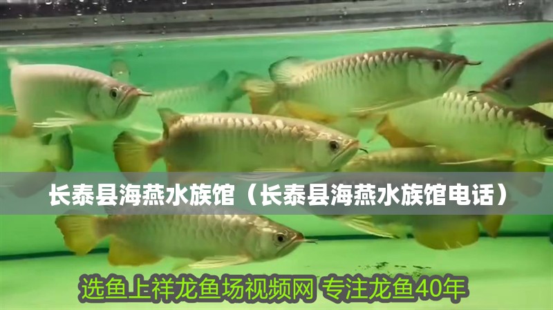 長泰縣海燕水族館（長泰縣海燕水族館電話）