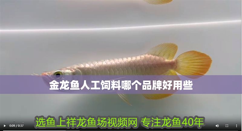 金龍魚人工飼料哪個品牌好用些