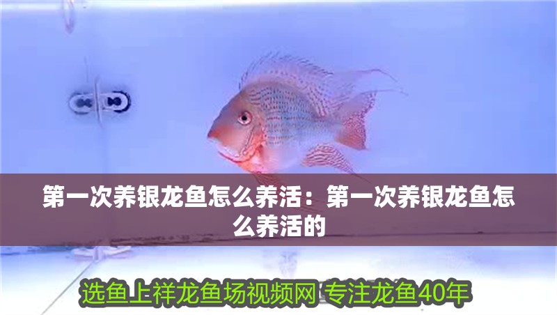 附近哪里有賣魚缸加熱棒的店（附近哪里有賣魚缸加熱棒的店鋪）