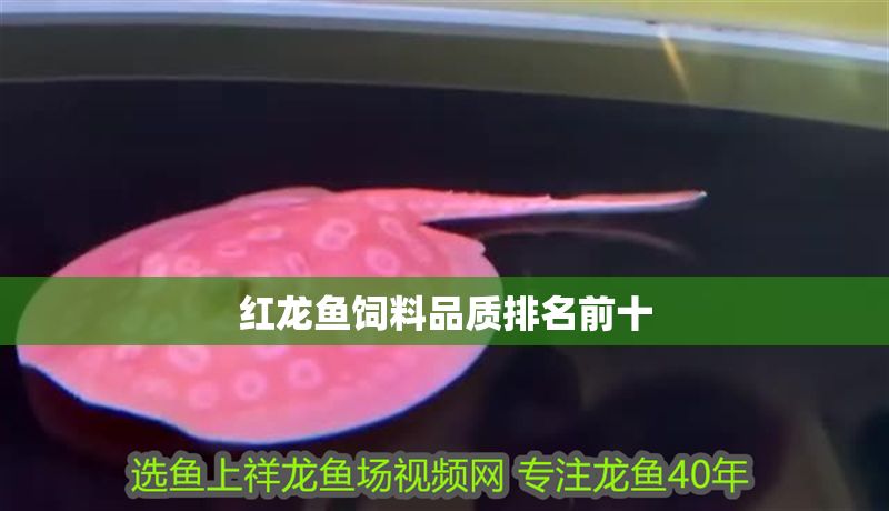 紅龍魚飼料品質排名前十