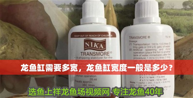 龍魚缸需要多寬，龍魚缸寬度一般是多少？