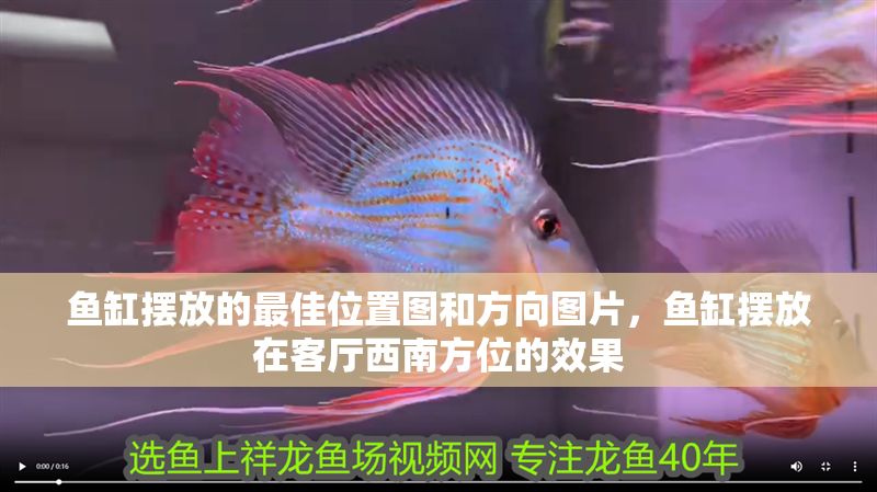 魚缸擺放的最佳位置圖和方向圖片，魚缸擺放在客廳西南方位的效果