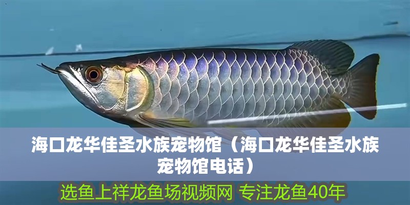 ?？邶埲A佳圣水族寵物館（?？邶埲A佳圣水族寵物館電話）