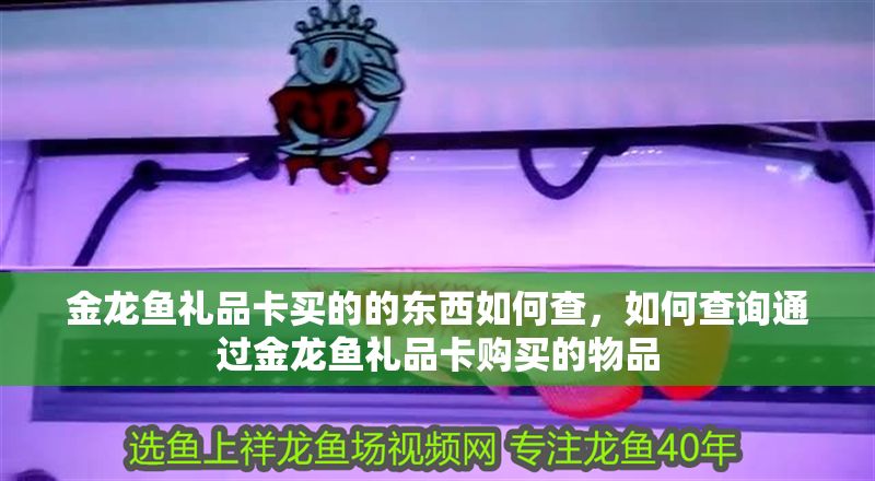 金龍魚禮品卡買的的東西如何查，如何查詢通過金龍魚禮品卡購買的物品