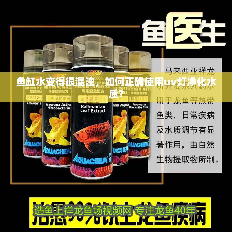 魚缸水變得很混濁，如何正確使用uv燈凈化水質(zhì)？
