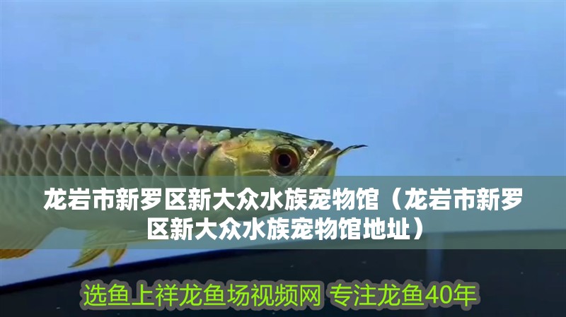 龍巖市新羅區新大眾水族寵物館（龍巖市新羅區新大眾水族寵物館地址）
