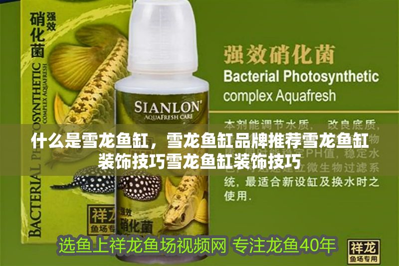 什么是雪龍魚缸，雪龍魚缸品牌推薦雪龍魚缸裝飾技巧雪龍魚缸裝飾技巧