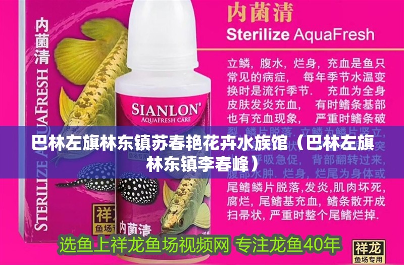 巴林左旗林東鎮蘇春艷花卉水族館（巴林左旗林東鎮李春峰）