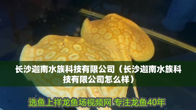 長(zhǎng)沙迦南水族科技有限公司（長(zhǎng)沙迦南水族科技有限公司怎么樣）