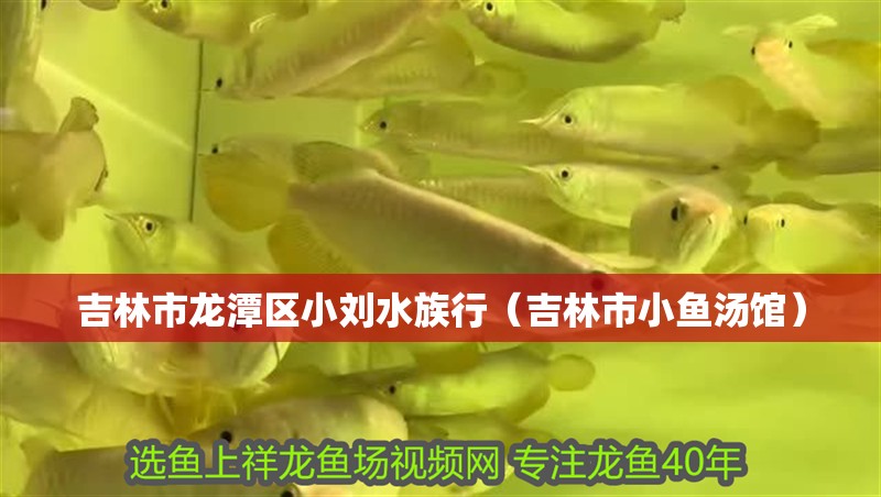 吉林市龍潭區小劉水族行（吉林市小魚湯館）