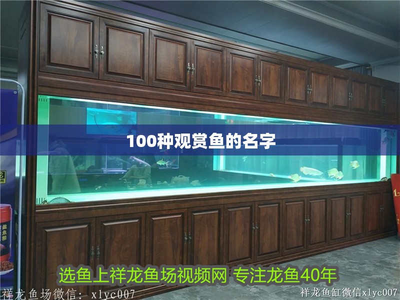 100種觀賞魚的名字
