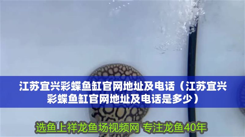 江蘇宜興彩蝶魚缸官網地址及電話（江蘇宜興彩蝶魚缸官網地址及電話是多少）