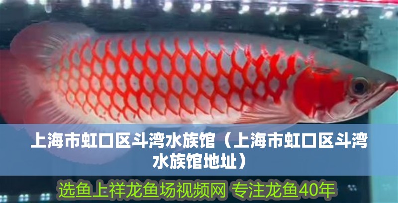 上海市虹口區斗灣水族館（上海市虹口區斗灣水族館地址）