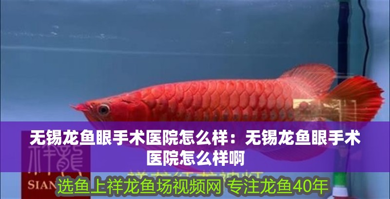 無錫龍魚眼手術醫院怎么樣：無錫龍魚眼手術醫院怎么樣啊