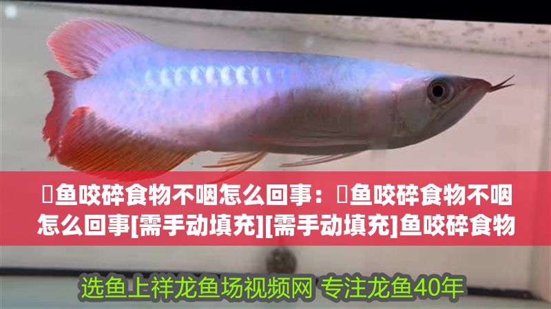 魟魚咬碎食物不咽怎么回事：魟魚咬碎食物不咽怎么回事[需手動填充][需手動填充]魚咬碎食物不咽怎么回事